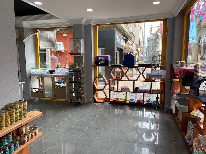 Beşikdüzü Zirve Petshop foto 2