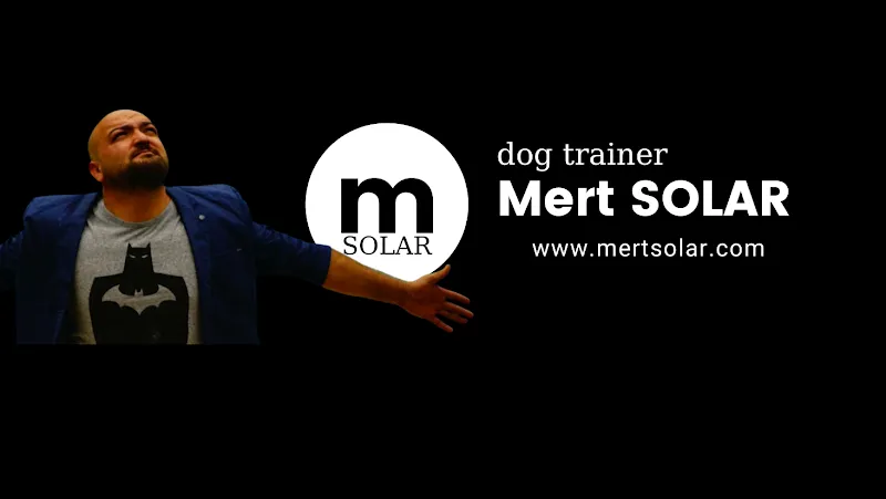 Mert Solar Dog Trainer foto 1