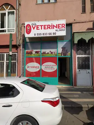 GÜL VETERİNER KLİNİĞİ