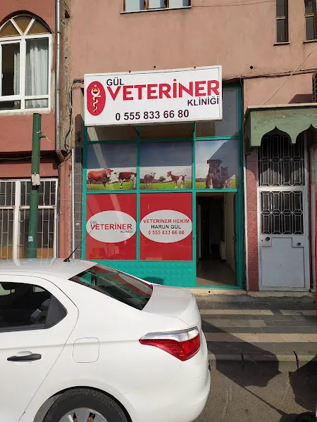 GÜL VETERİNER KLİNİĞİ foto 1