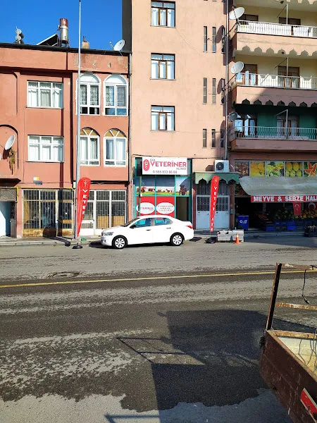 GÜL VETERİNER KLİNİĞİ foto 2