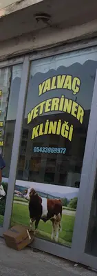 Veteriner Yalvaç fotoğrafı