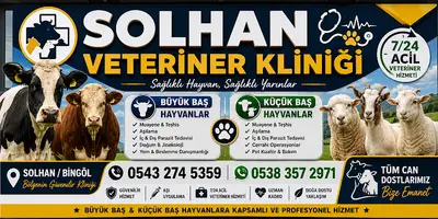 SOLHAN VETERİNER KLİNİĞİ