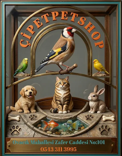 Çipet Petshop foto 2