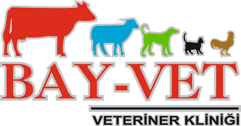 BAY-VET VETERİNER KLİNİĞİ foto 1