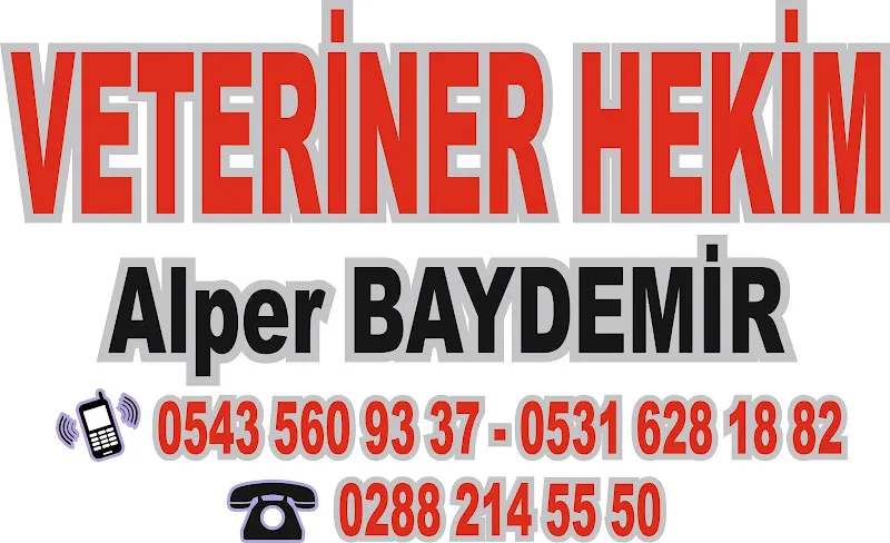 BAY-VET VETERİNER KLİNİĞİ foto 2