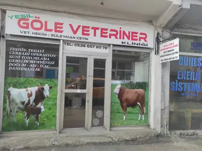 Karagülle Veteri̇ner Kli̇ni̇ği̇