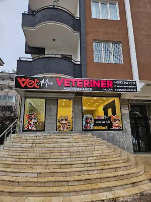 Polat veteriner muayenehanesi