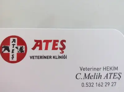 Veteriner Hekim Ali Üstül