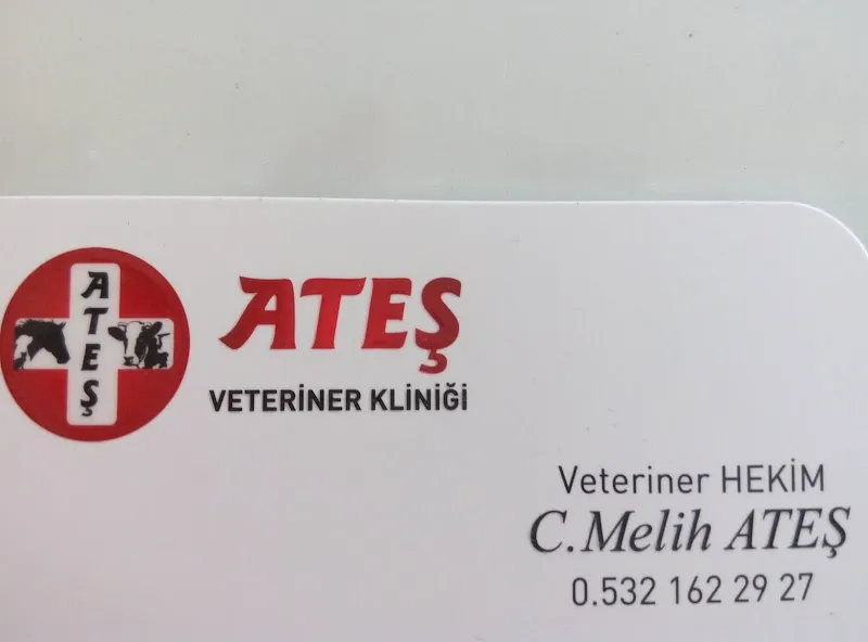 Veteriner Hekim Ali Üstül foto 1
