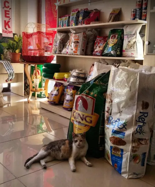 Şenel Vural Veteriner Kliniği foto 2
