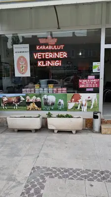 Elif Veteriner Kliniği