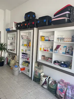 Damizlikhayvan