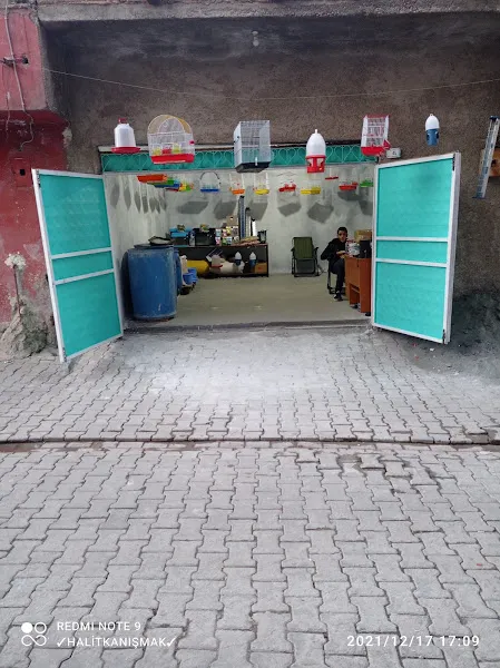 OKYANUS PETSHOP foto 1