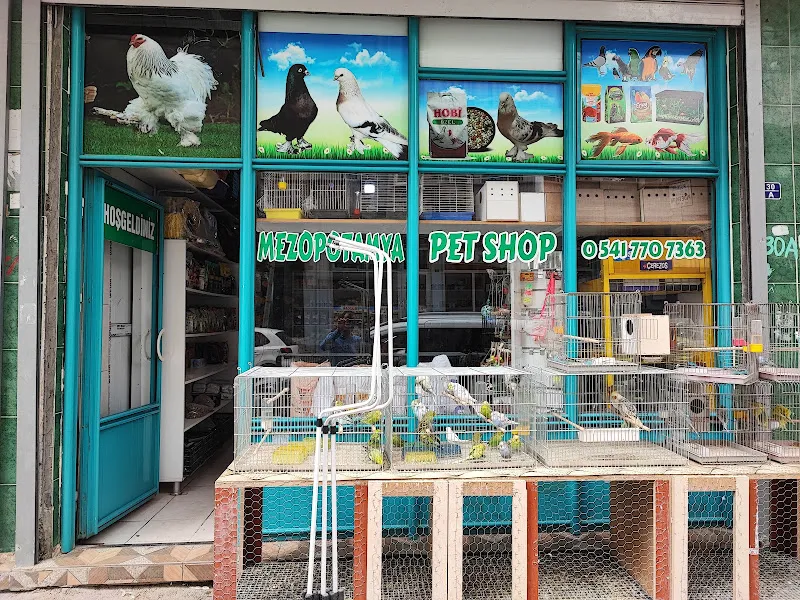 Rustem Pet Shop foto 1