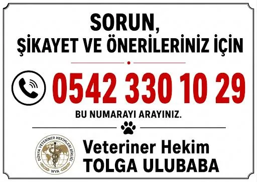 Özel Ümraniye Veteriner Kliniği foto 2