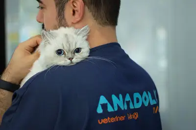 VETERİNER ÜMRANİYE Anadolu Veteriner Polikliniği | 24 Saat Nöbetçi Veteriner