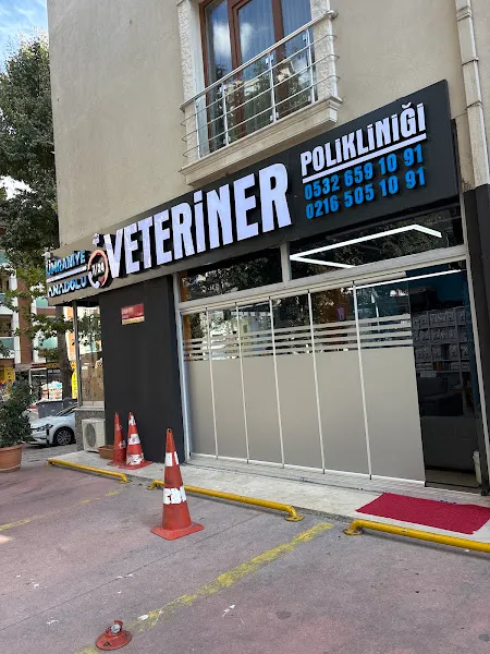VETERİNER ÜMRANİYE Anadolu Veteriner Polikliniği | 24 Saat Nöbetçi Veteriner foto 2