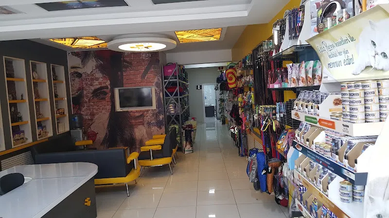 Tamara Pet Veteriner Kliniği foto 1