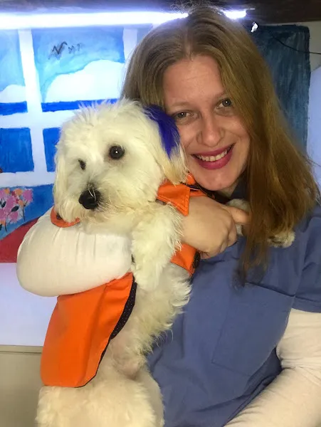 Hopyap Veteriner Kliniği foto 1
