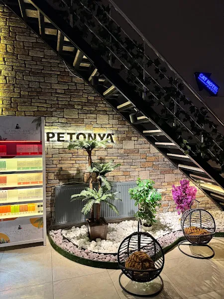 PETONYA VETERİNER KLİNİĞİ foto 2