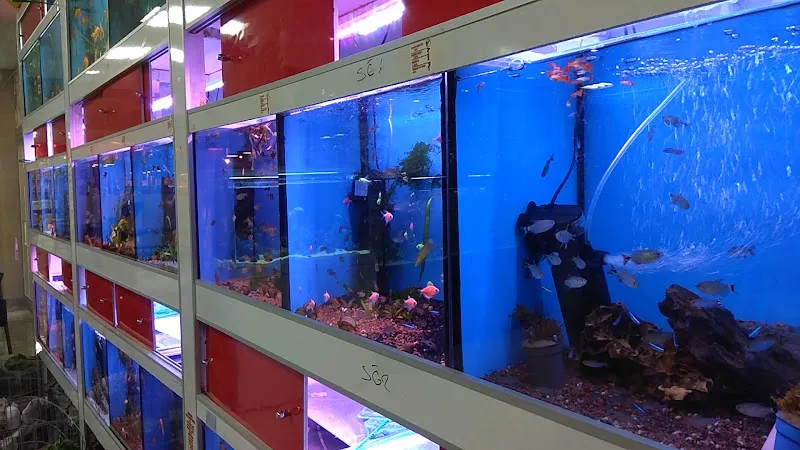 Ayzek Pet Shop foto 2
