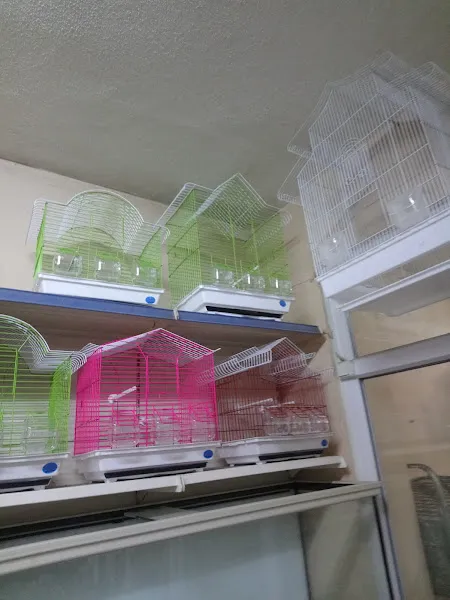Discus Akvaryum & PetShop foto 2