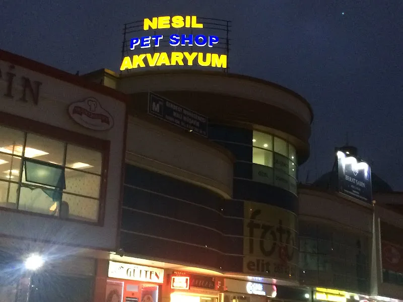 Nesil Akvaryum Petshop foto 1