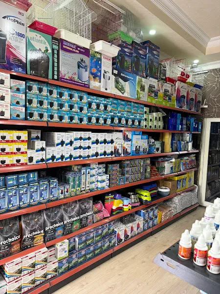 FSF PETSHOP foto 2