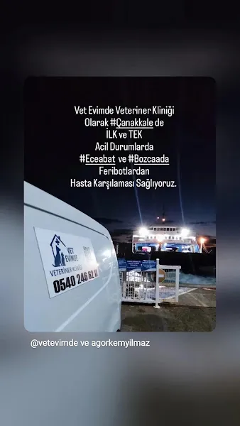 Vet Evimde Veteriner Kliniği foto 1