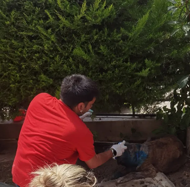 Vet Evimde Veteriner Kliniği foto 2