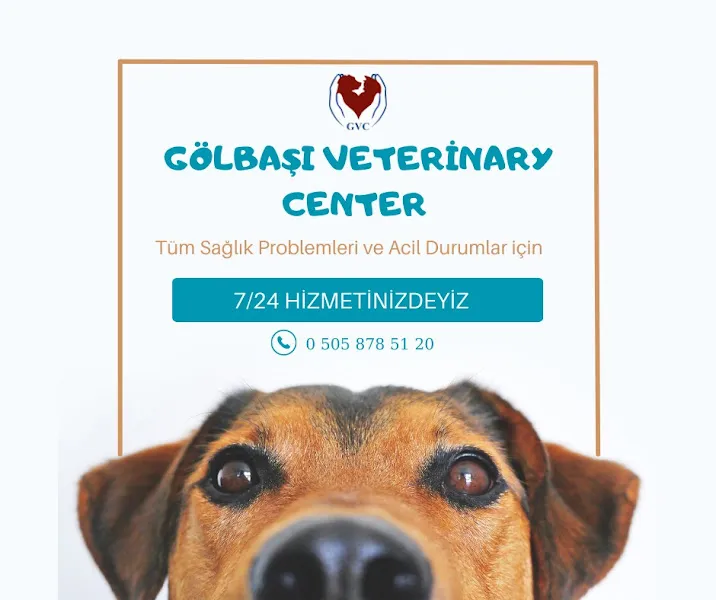 GÖLBAŞI VETERİNARY CENTER foto 2