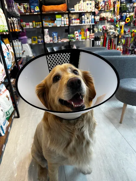 Creavet Veteriner Kliniği foto 2