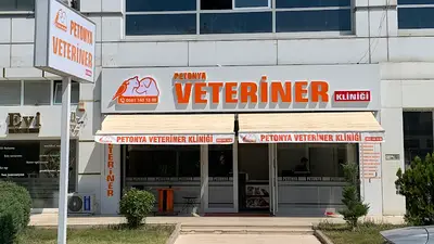 Eryaman Petonya Veteriner Kliniği
