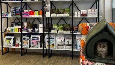 My Lia Veteriner Kliniği