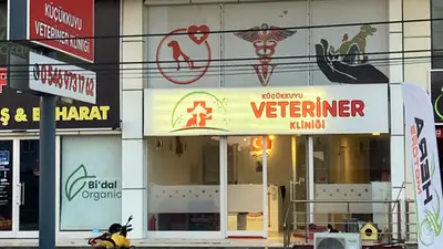 Özel Küçükkuyu Veteriner Kliniği
