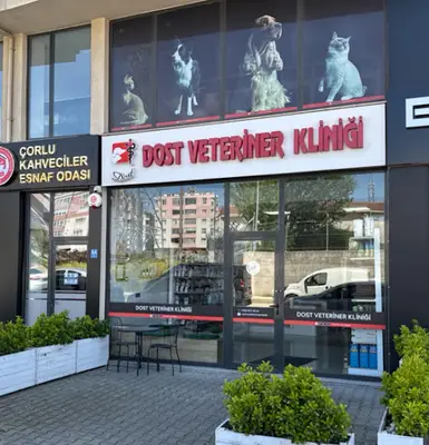 Dost Veteriner Kliniği Çorlu