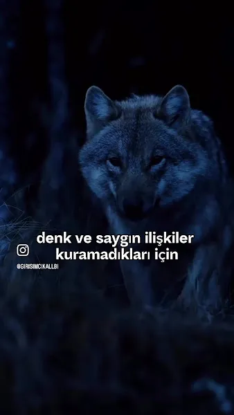 çeşme belediyesi veteriner kliniği foto 2