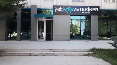 PETBULL VETERİNER KLİNİĞİ