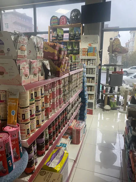 ATLANTİS PET MARKET ÇORLU foto 2