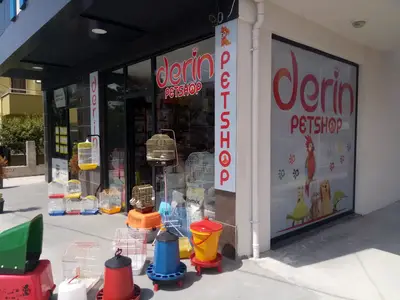Derin Petshop