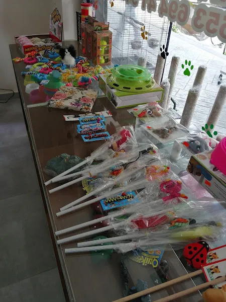 Pati Petshop foto 2