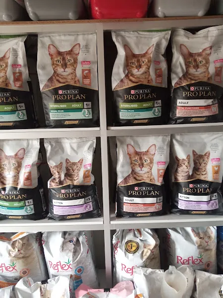 Konya sancak kosova mah alaska pet shop foto 2
