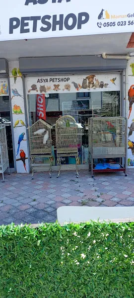 Asya Petshop foto 1