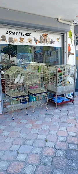 Asya Petshop foto 2