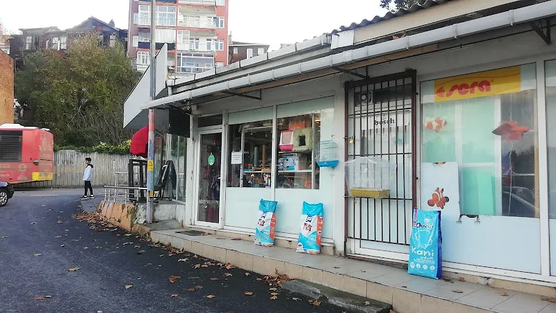 Beykoz Petshop & Pet Kuaför foto 1