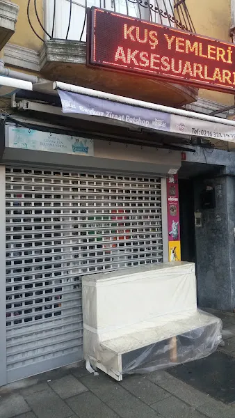 Beykoz Petshop & Pet Kuaför foto 2