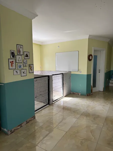 FC K9 Köpek Oteli ve Eğitim Merkezi foto 2