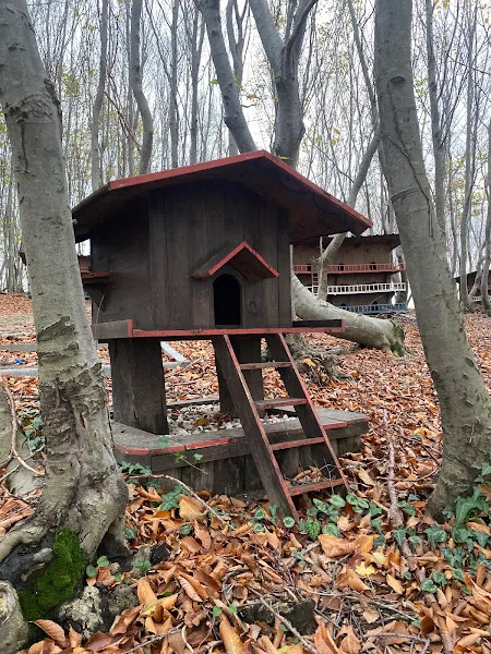 Samsun Hayvan Barınağı foto 1