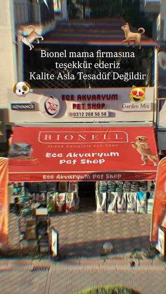 Ece Akvaryum Pet Shop foto 2